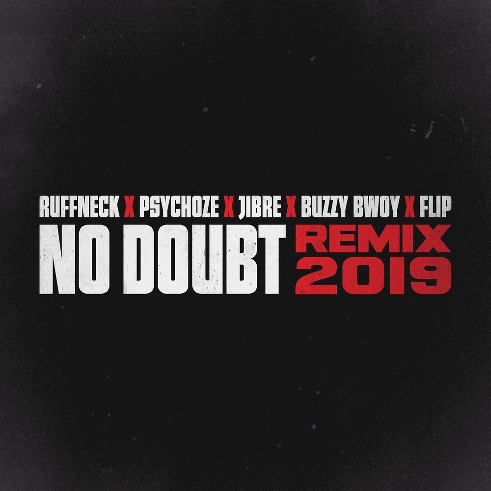 Picture of No Doubt (Remix 2019)
