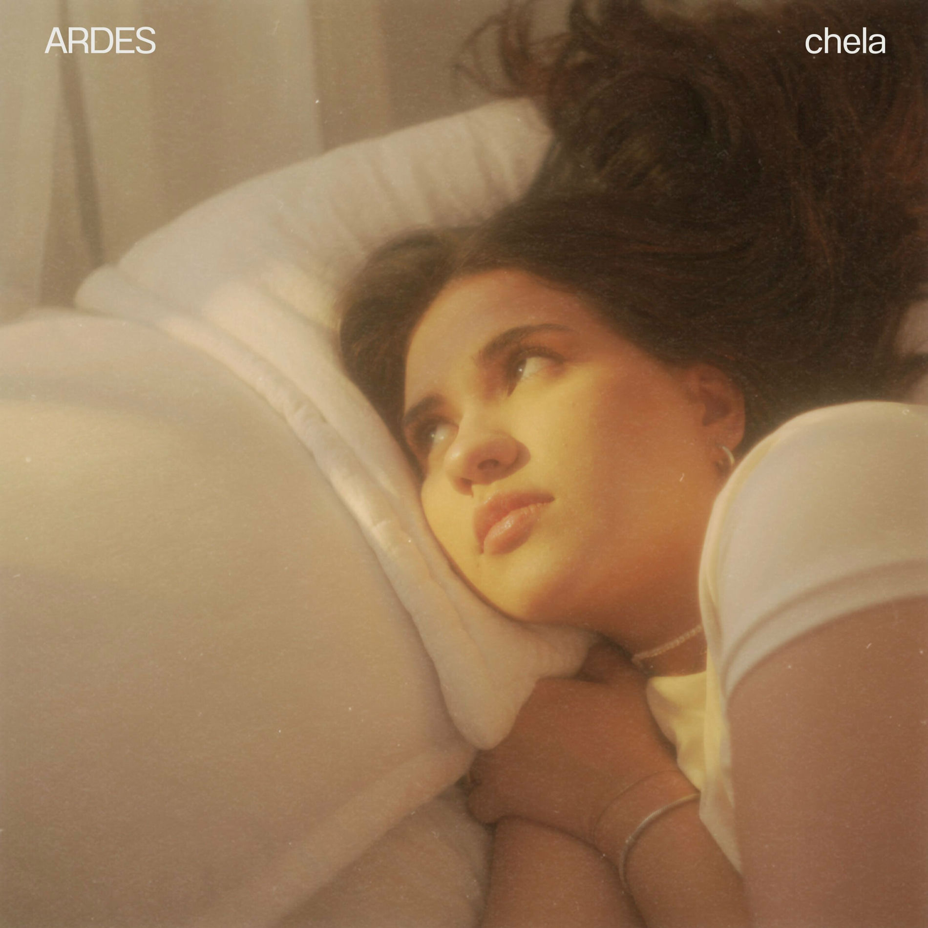 Album cover of ARDES