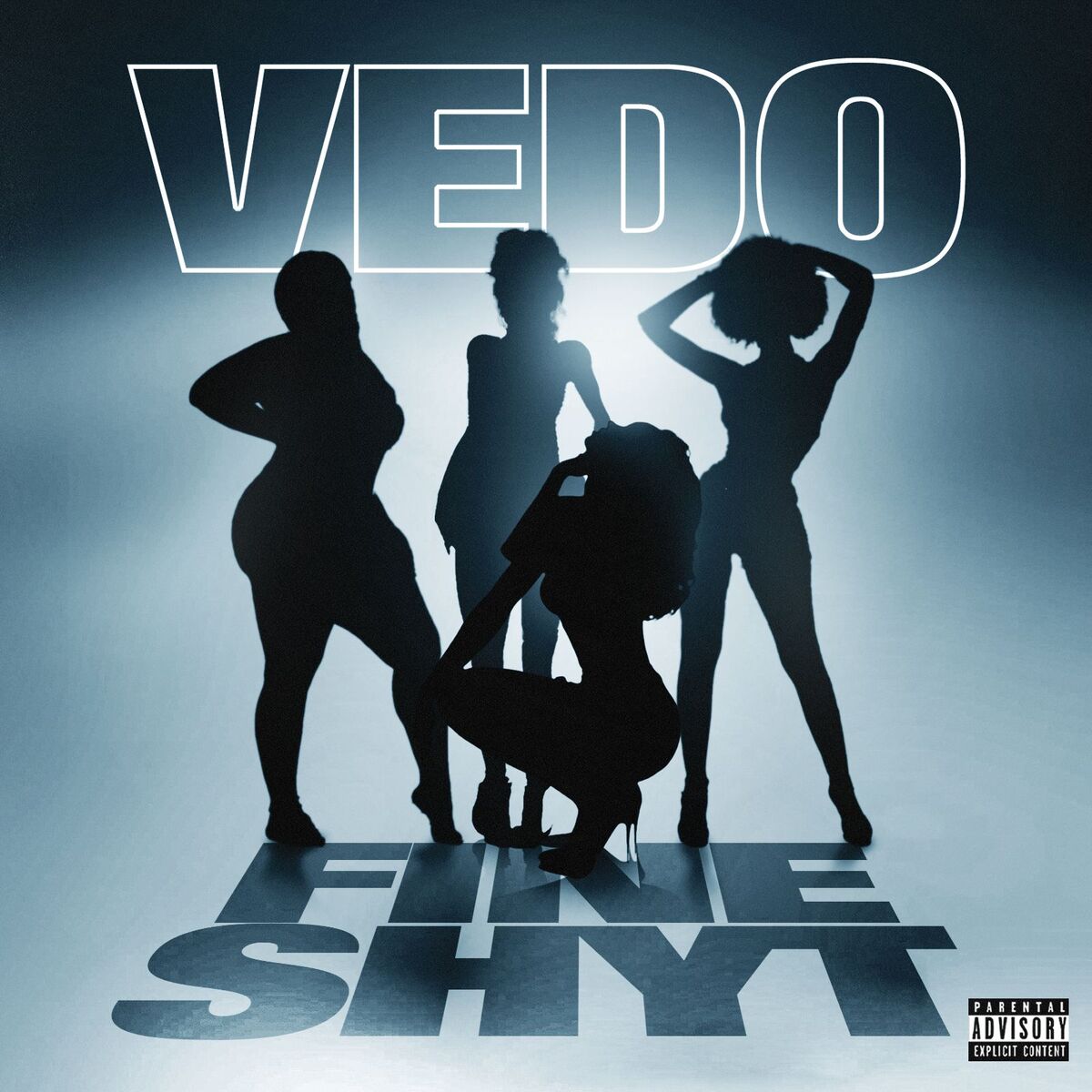 Album cover of Fine Shyt