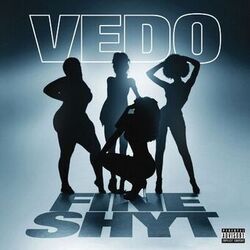 Cover of Fine Shyt