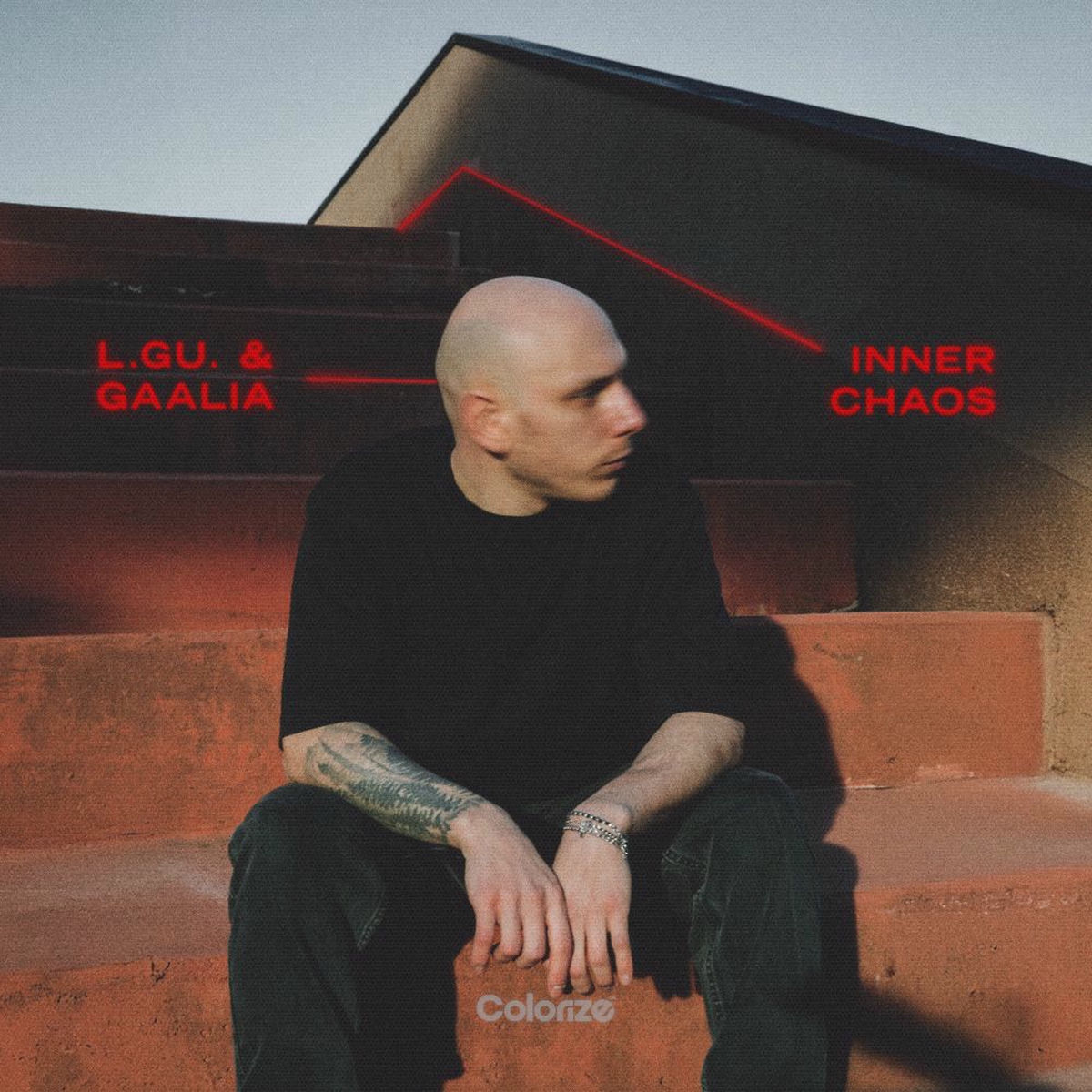 Album cover of Inner Chaos