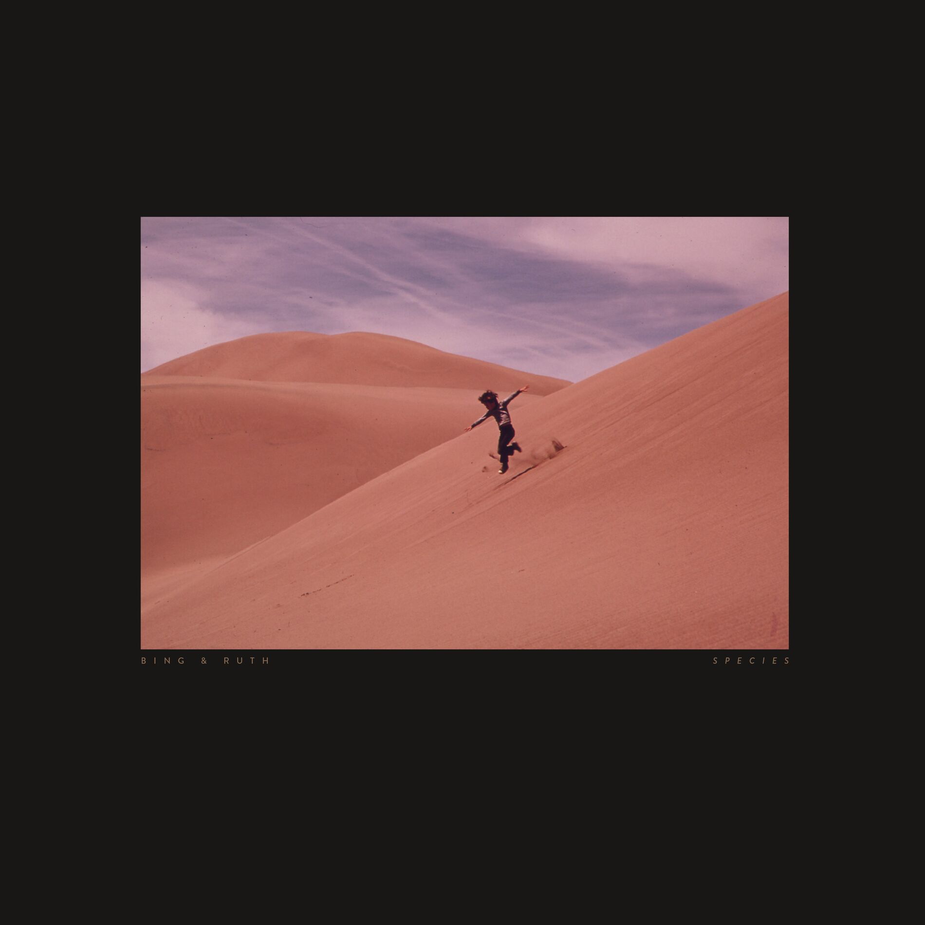 Album cover of The Pressure of this Water