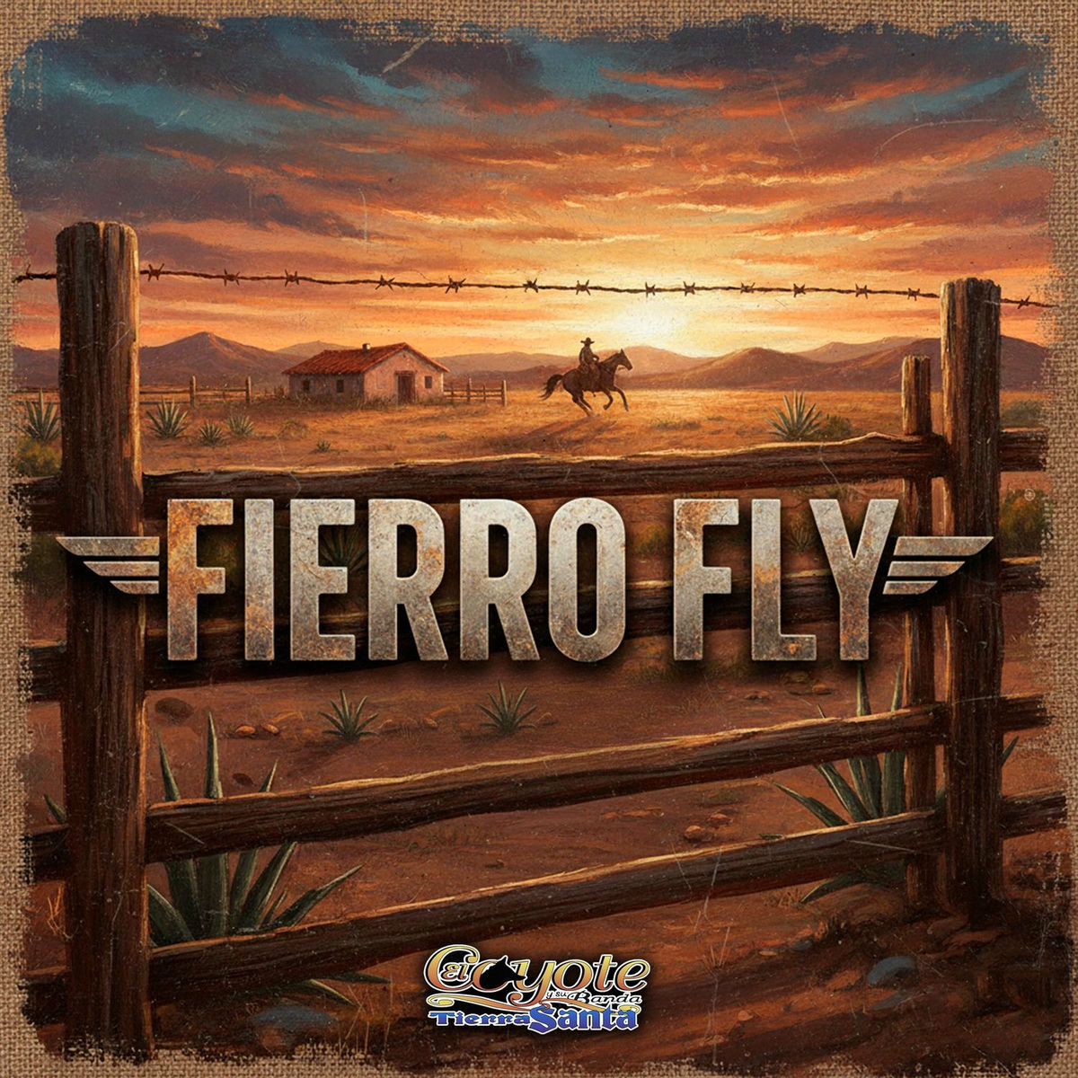 Album cover of Fierro Fly
