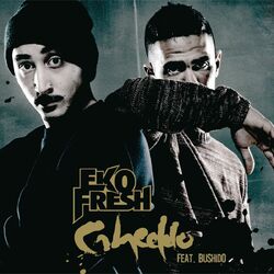 music cover