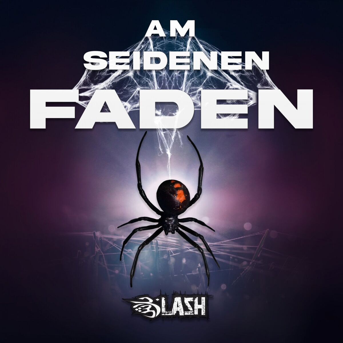 Album cover of Am seidenen Faden