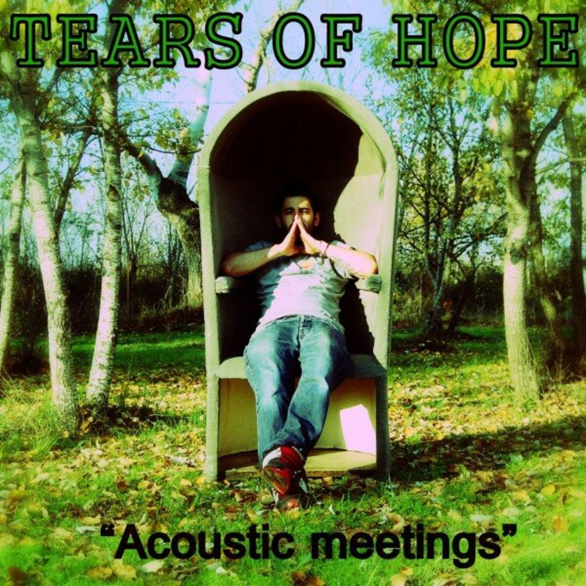 Album cover of Acoustic Meetings