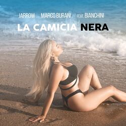 Cover of La camicia nera