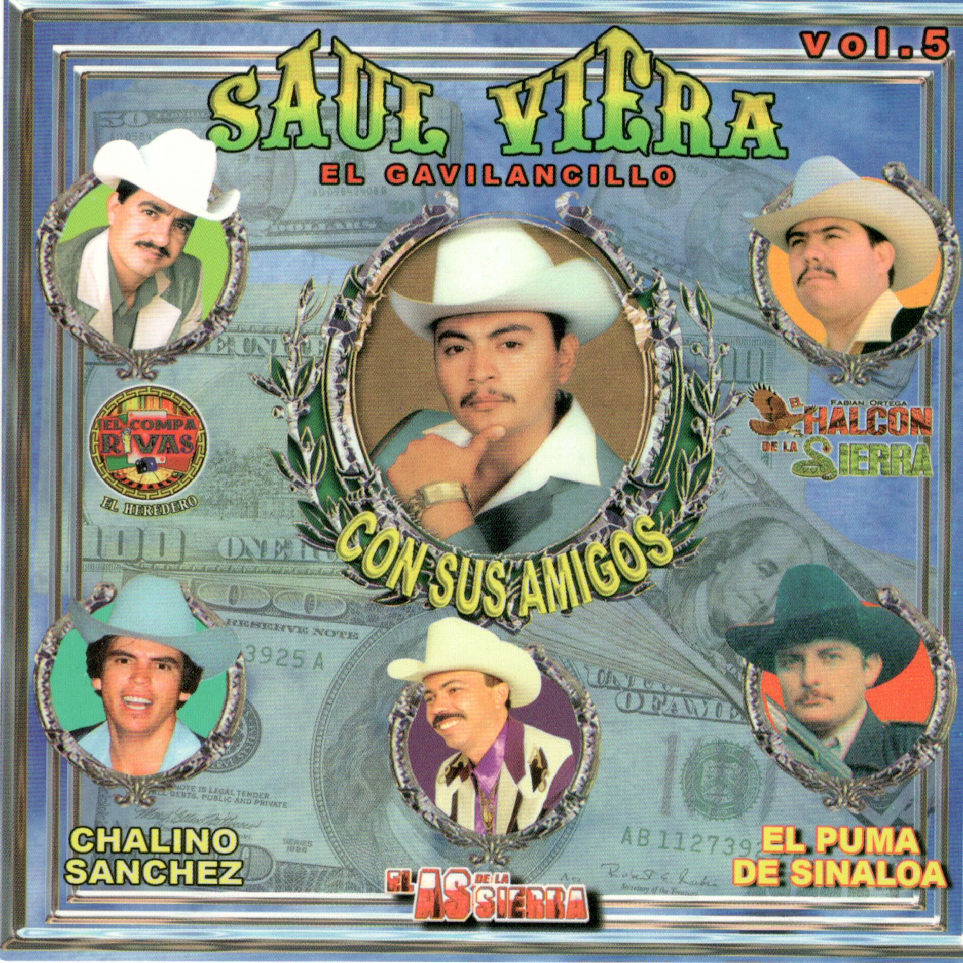 Album cover of Saul el Gavilancillo Viera Con Sus Amigos, Vol. 5