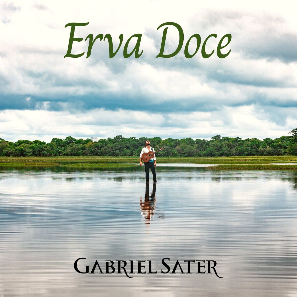 Album cover of Erva Doce