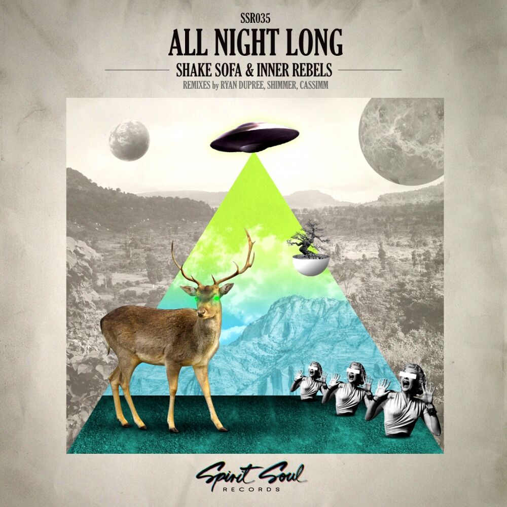 Picture of All Night Long