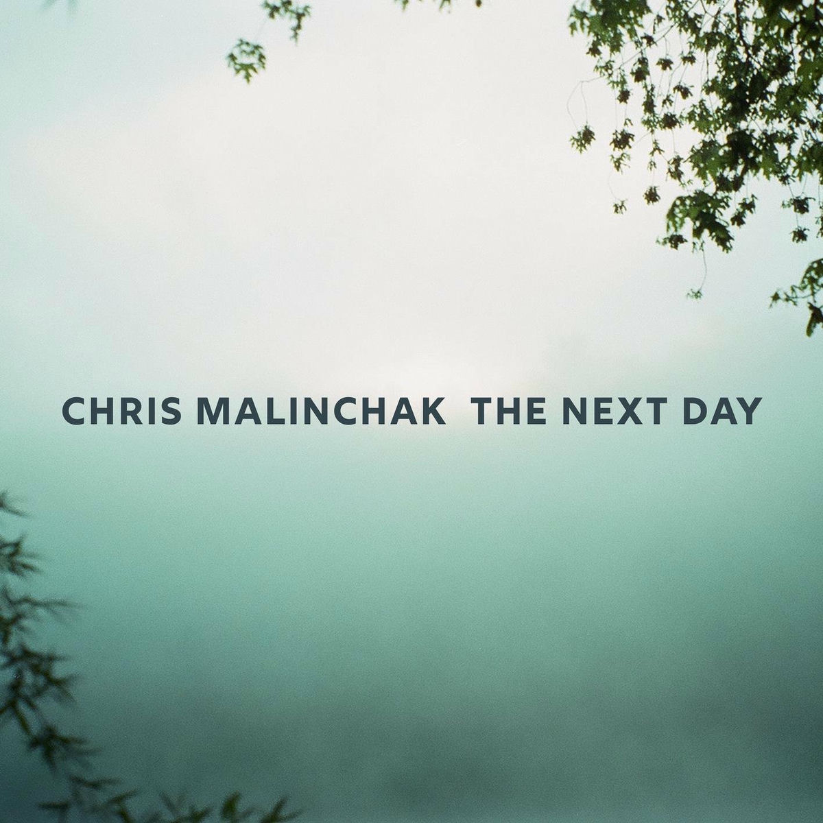 Album cover of The Next Day