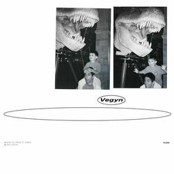 Cover of Only Diamonds Cut Diamonds