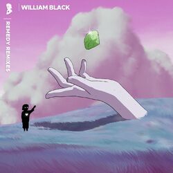 Cover of Remedy Remixes