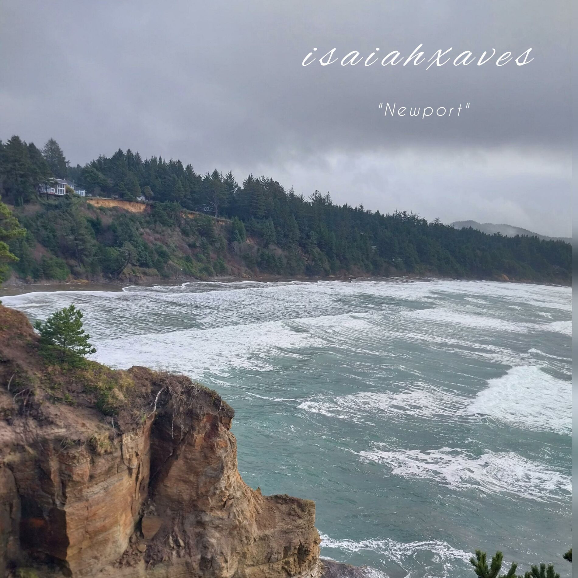 Album cover of NEWPORT