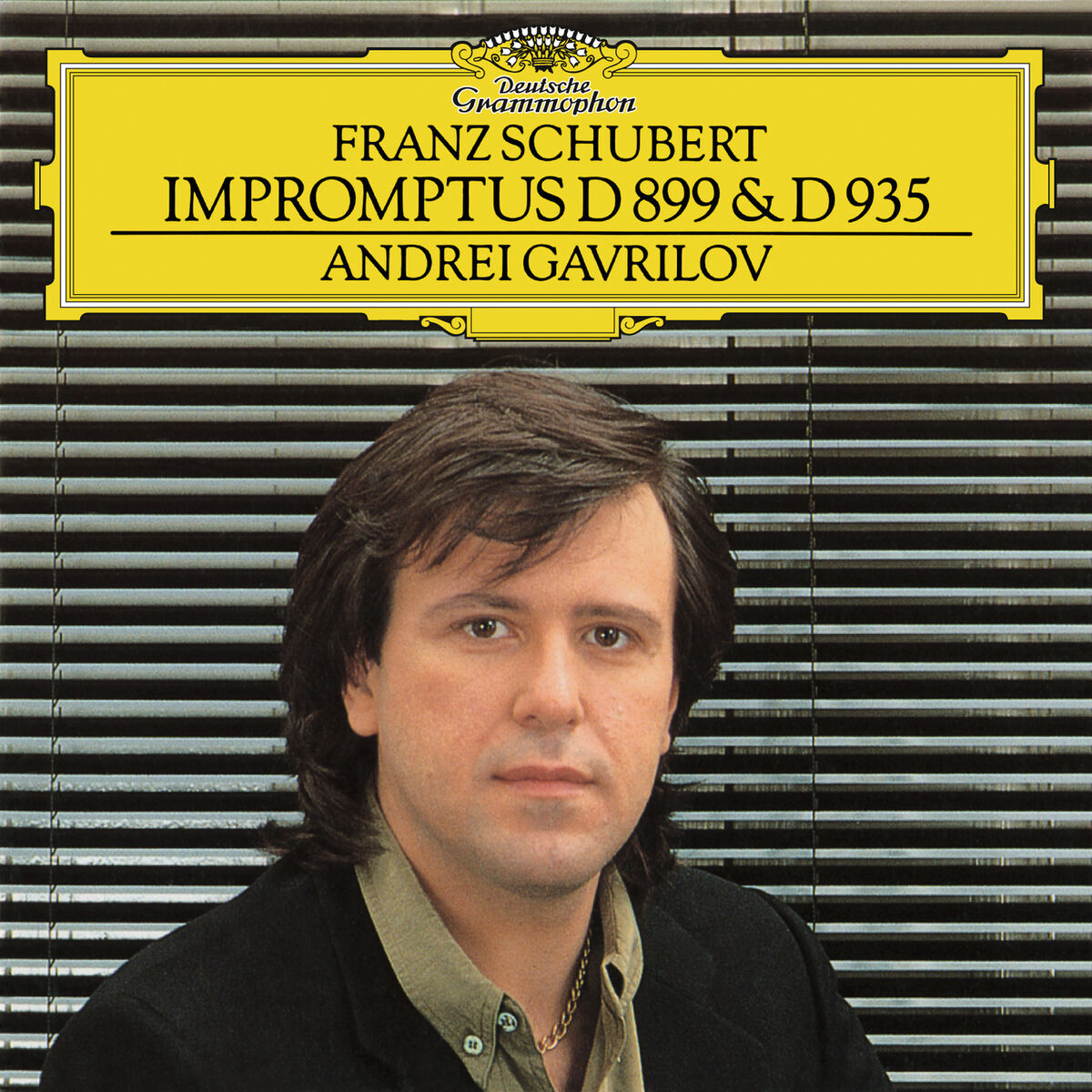 Album cover of Schubert: Impromptus Op.90, D.899 & Op.142, D.935