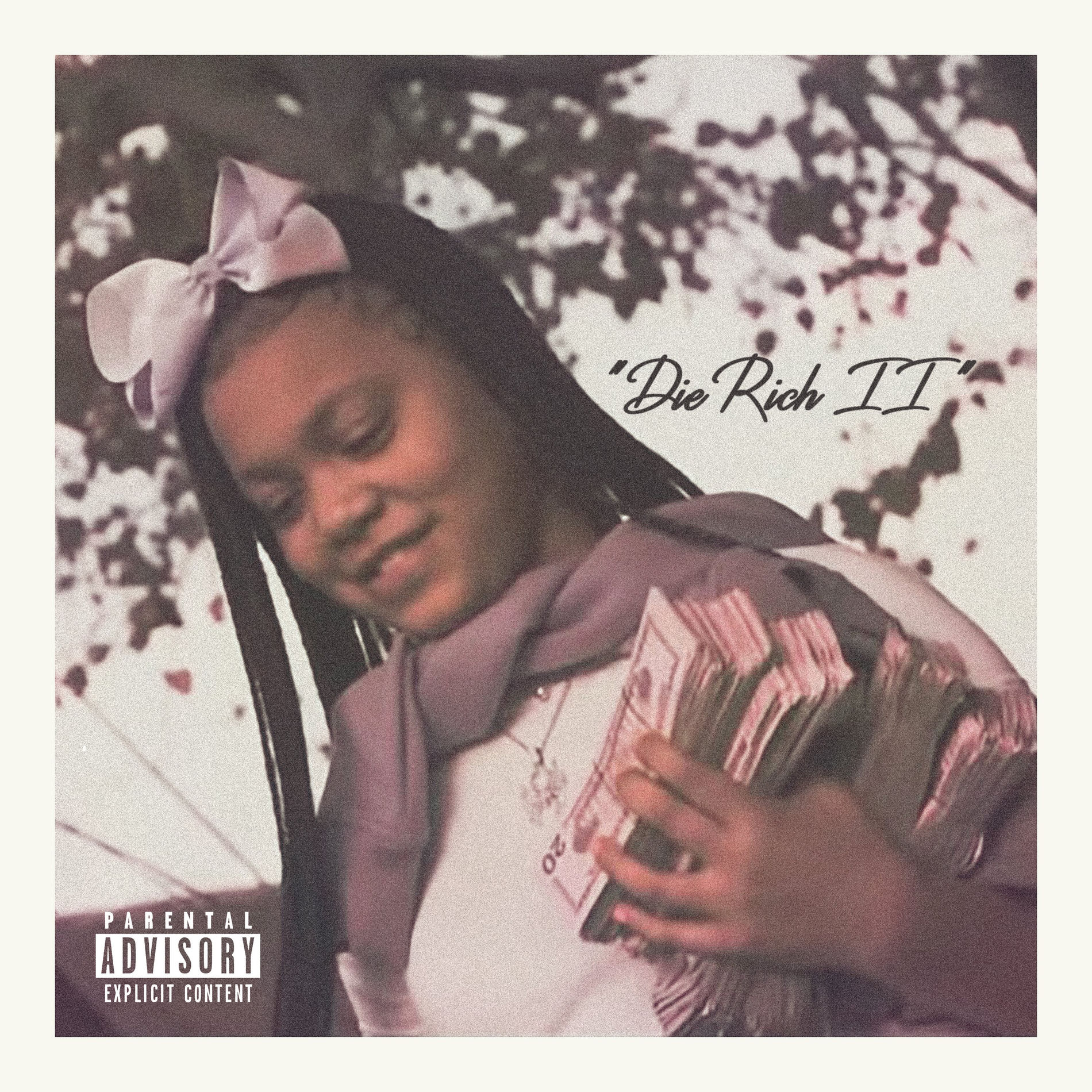 Album cover of Die Rich II