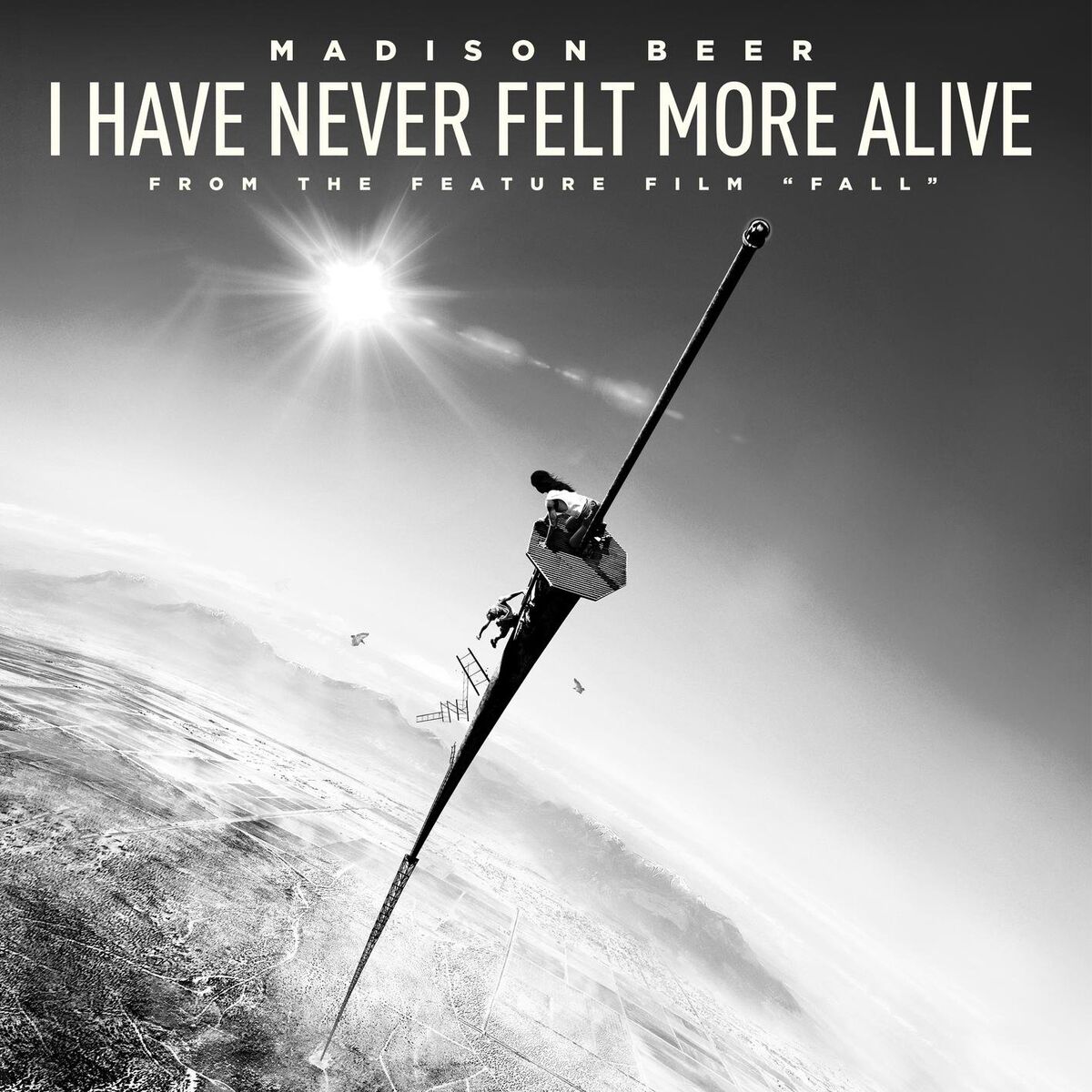 Album cover of I Have Never Felt More Alive
