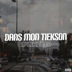 Cover of Dans mon tiekson