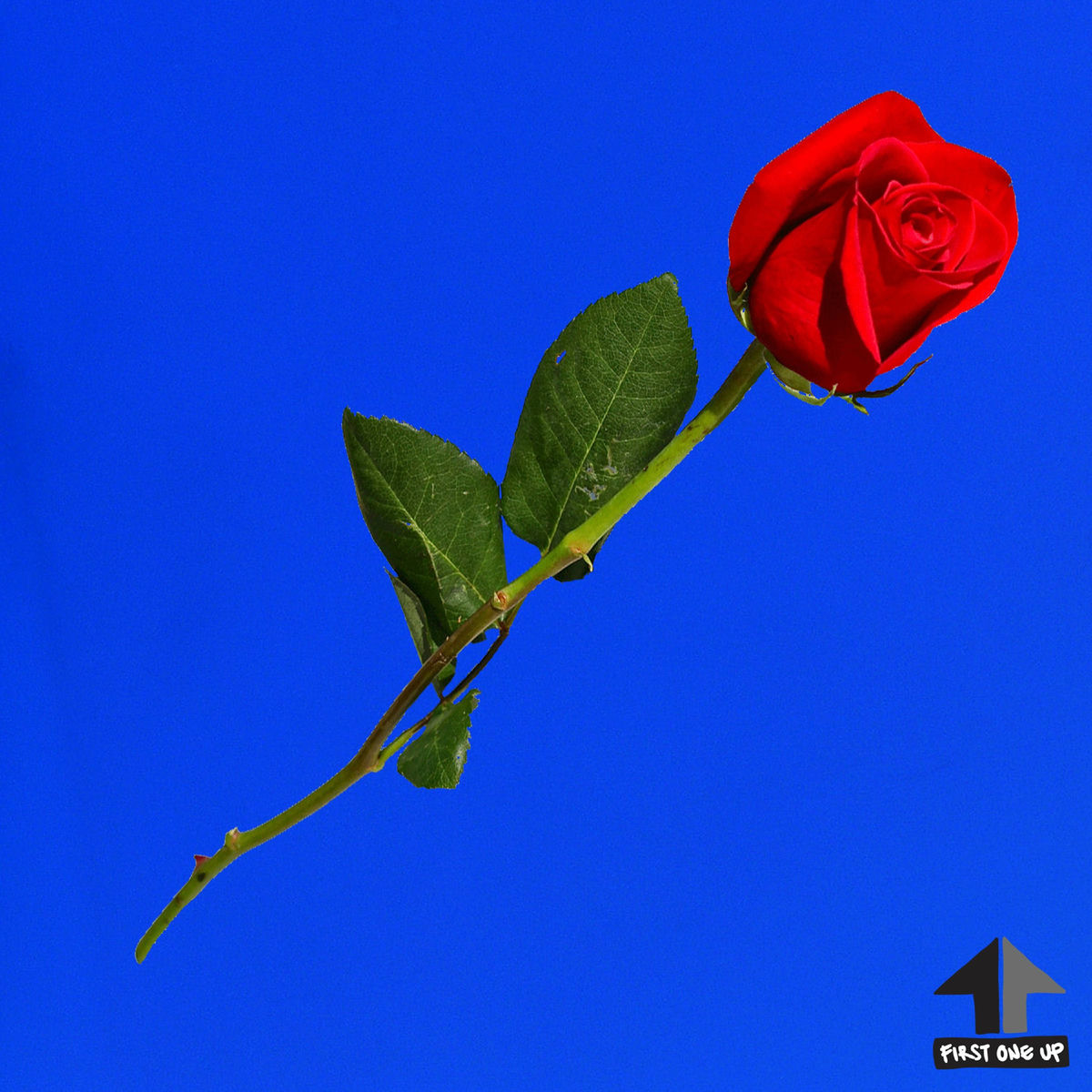 Album cover of Do Us (feat. Kevin Saunderson)