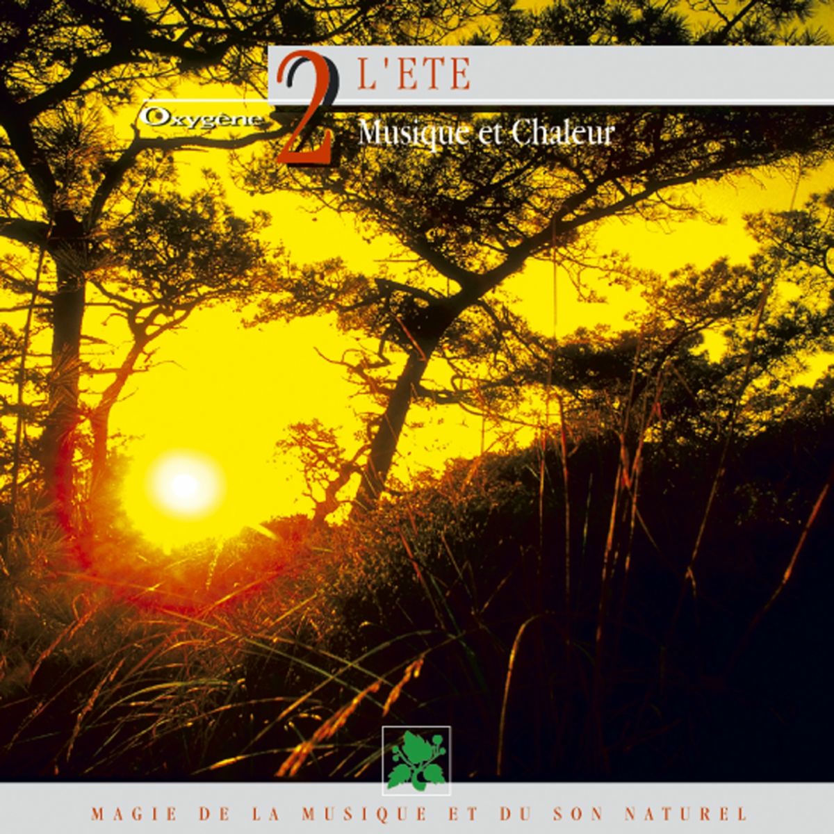 Album cover of Oxygène 2 : L'été, musique et chaleur (Magie de la musique et du son naturel)