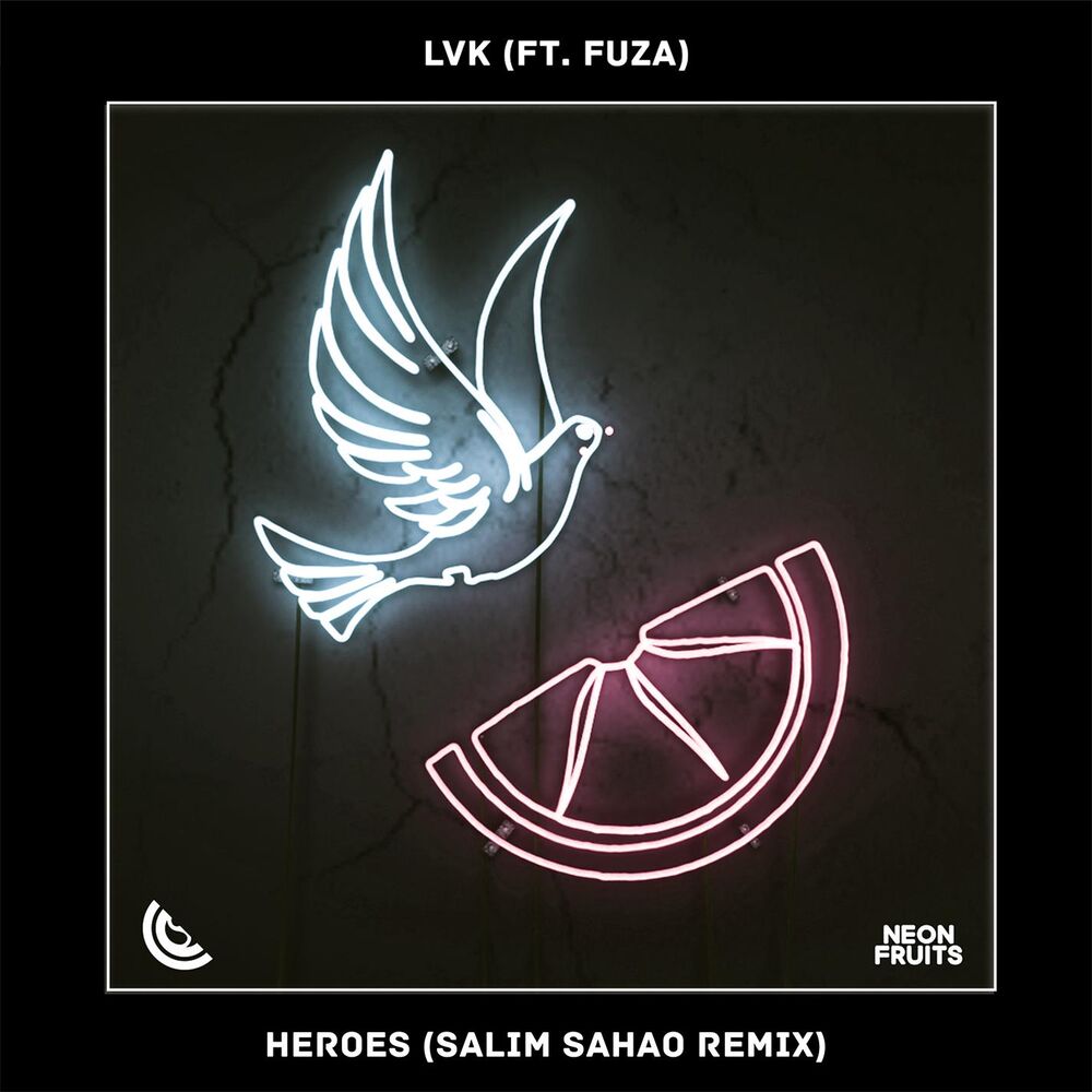 Picture of Heroes (feat. Fuza) (Salim Sahao Remix)