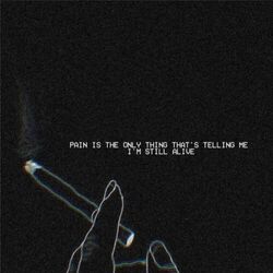 Cover of Letter To Myself