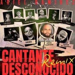 Cover of Cantante Desconocido Remix