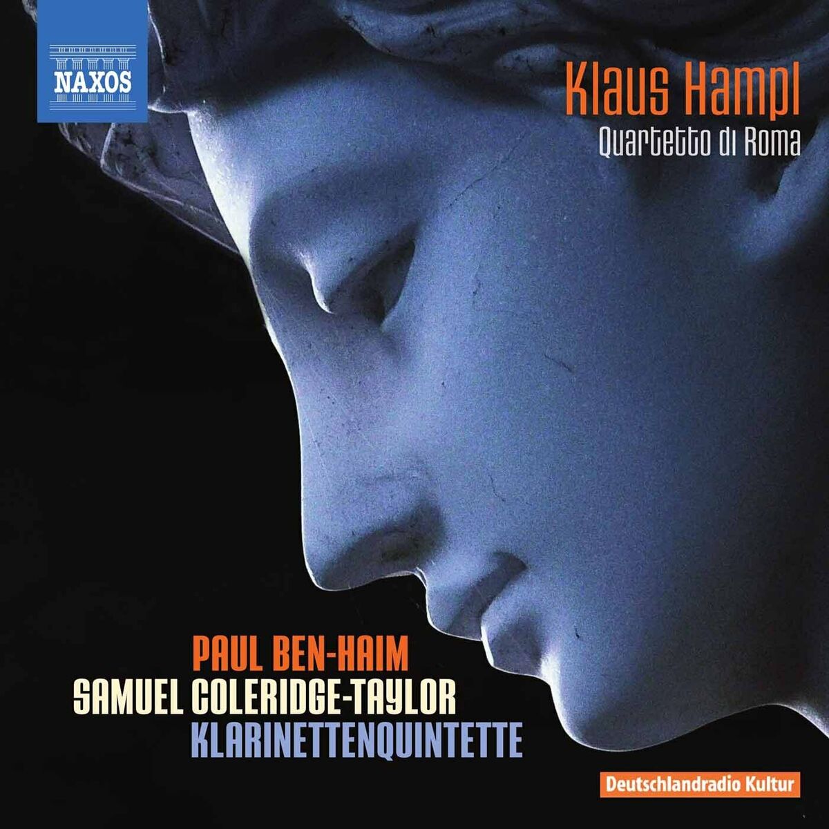 Album cover of Clarinet Quintet, Op. 31a: III. Tema con variazioni