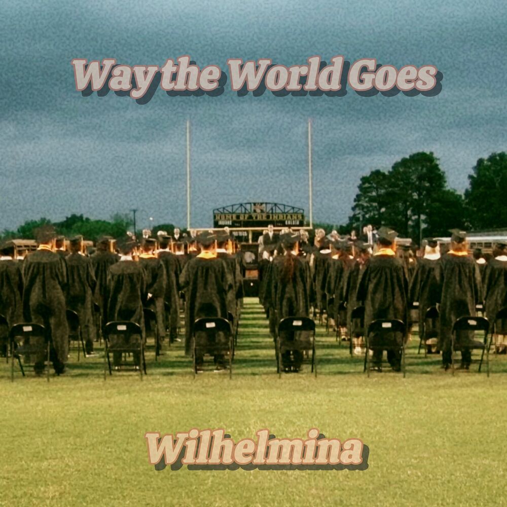 Picture of Way the World Goes