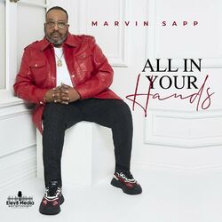Cover of All in Your Hands