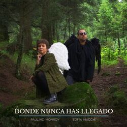 Cover of Donde Nunca Has Llegado