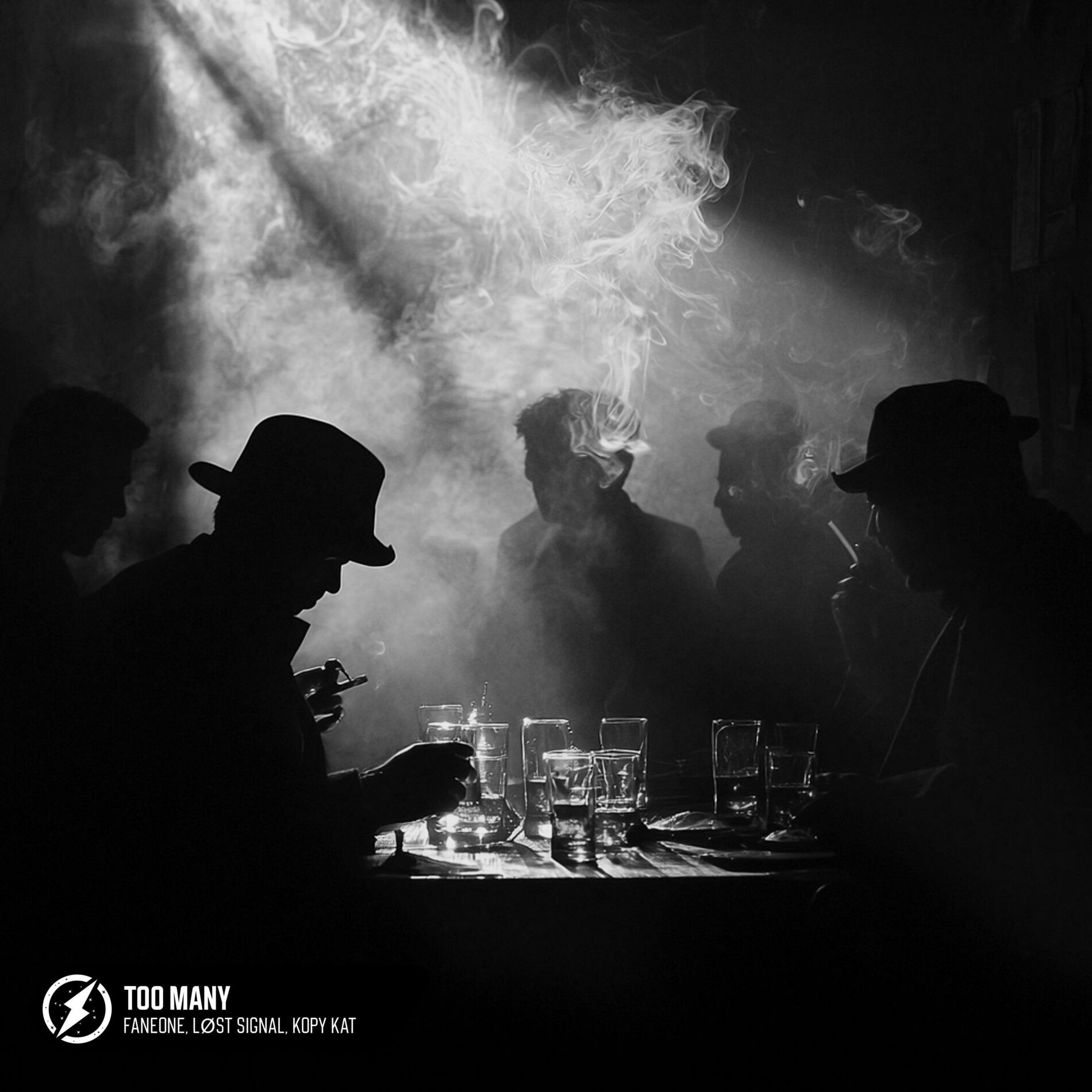 Album cover of Too Many
