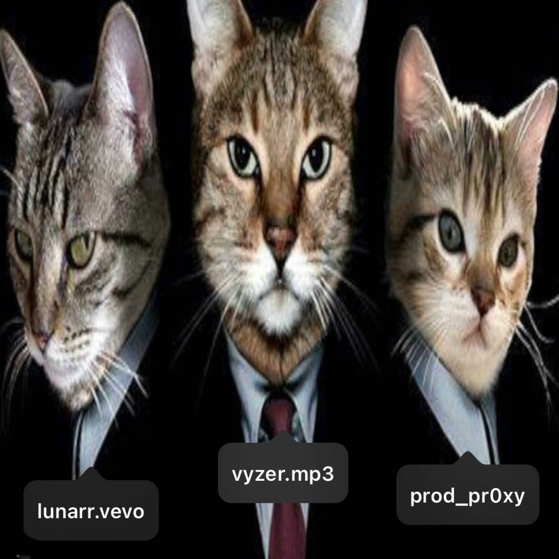 Album cover of step on it (feat. Vyzer & lunarr)