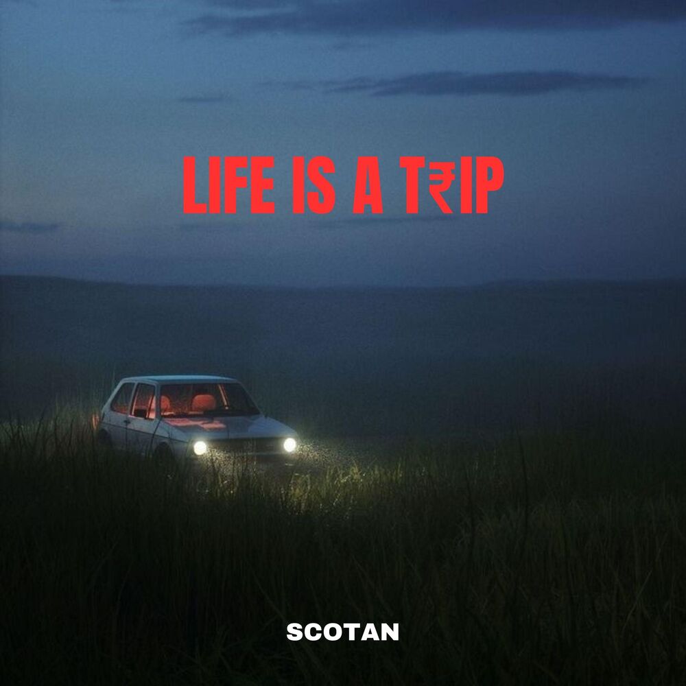 Picture of Life Is A Trip