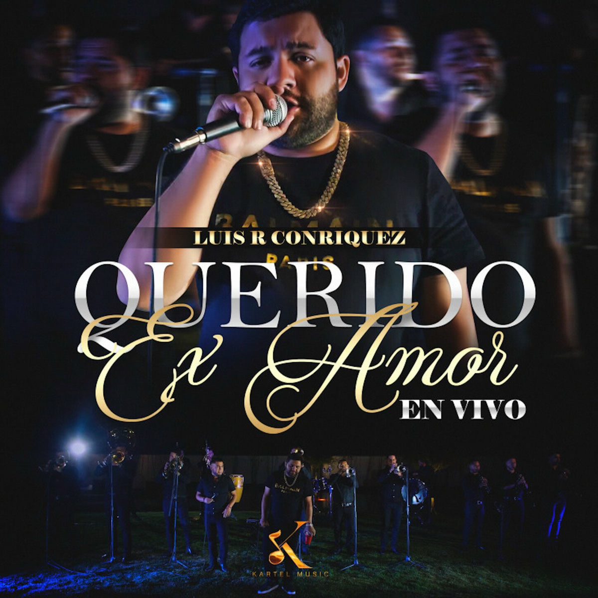 Album cover of Querido Ex Amor (En Vivo)