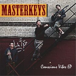 Cover of Conscious Vibes