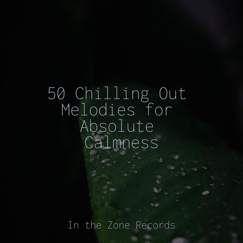 50 Chilling Out Melodies for Absolute Calmness