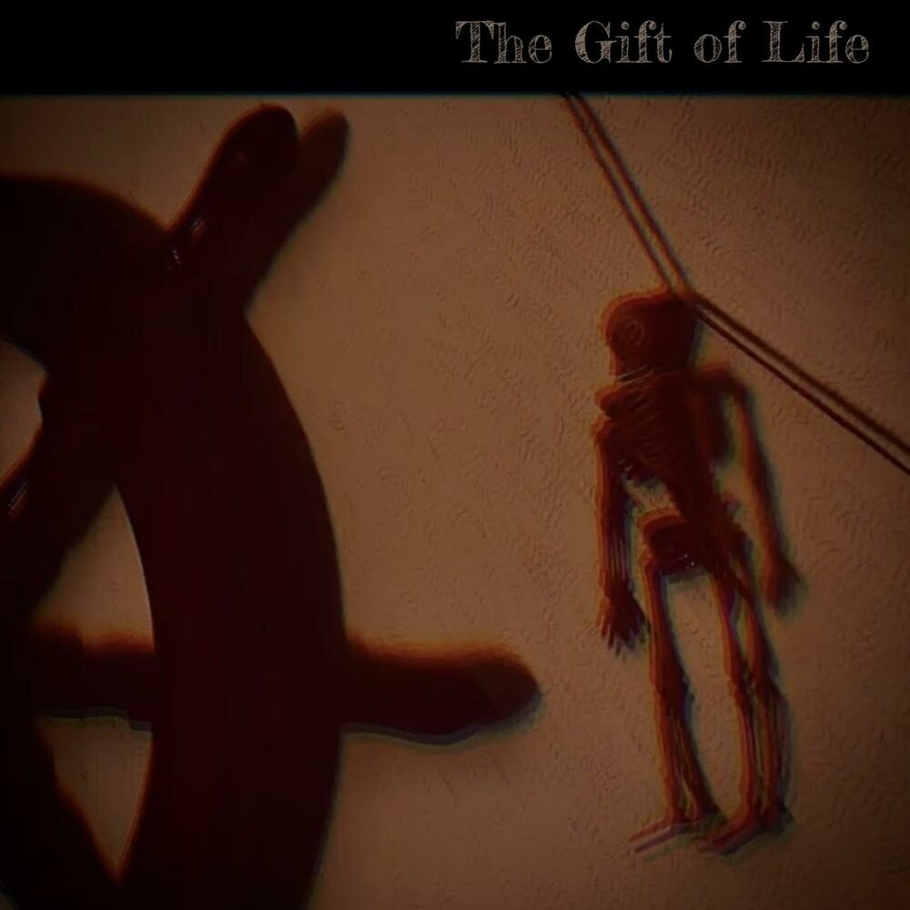 Picture of The Gift of Life