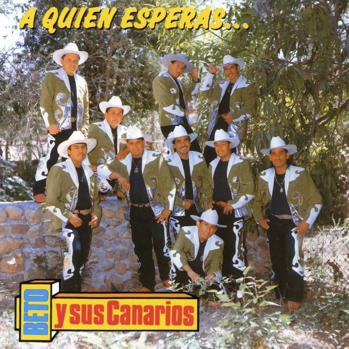 Album cover of A Quién Esperas
