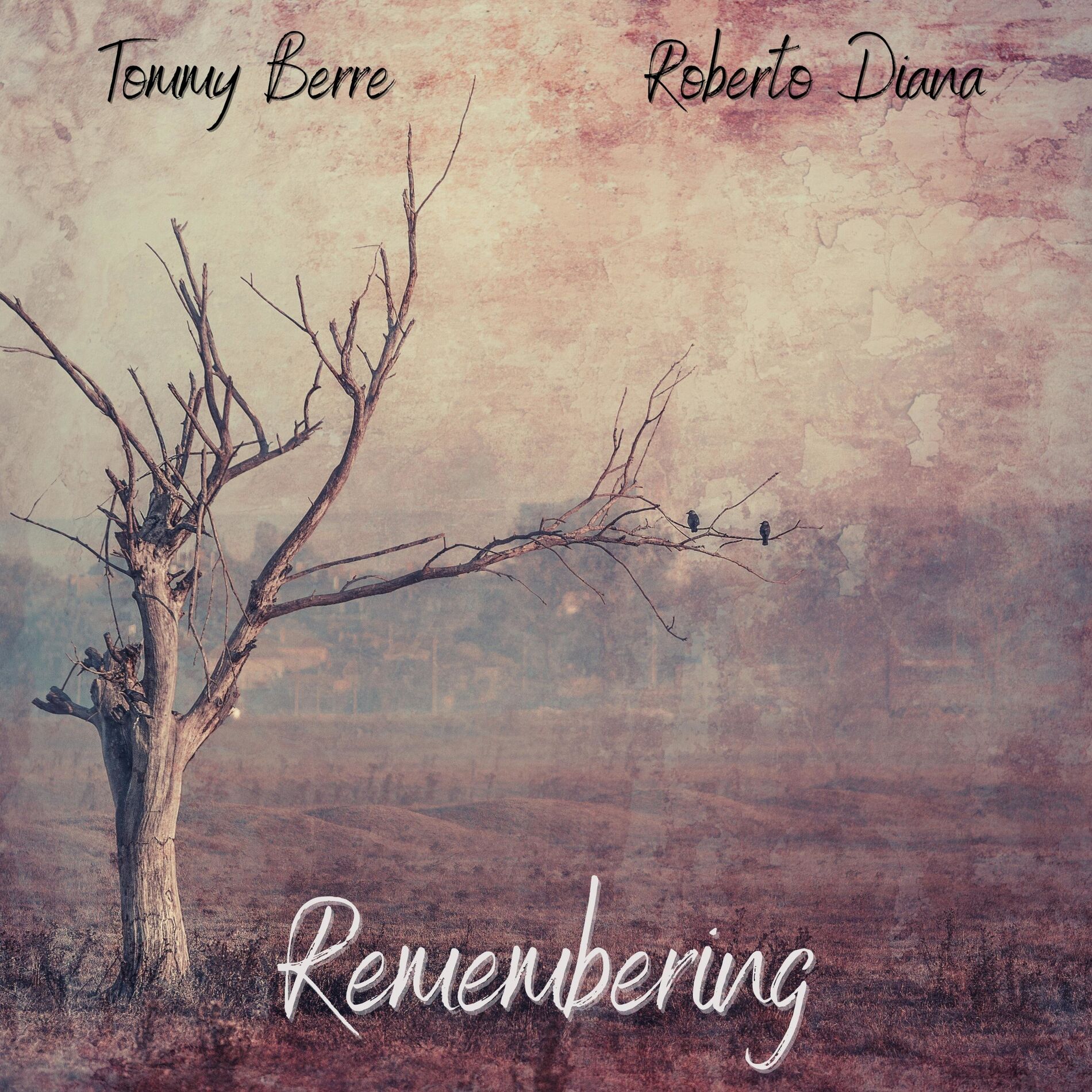 Album cover of Remembering