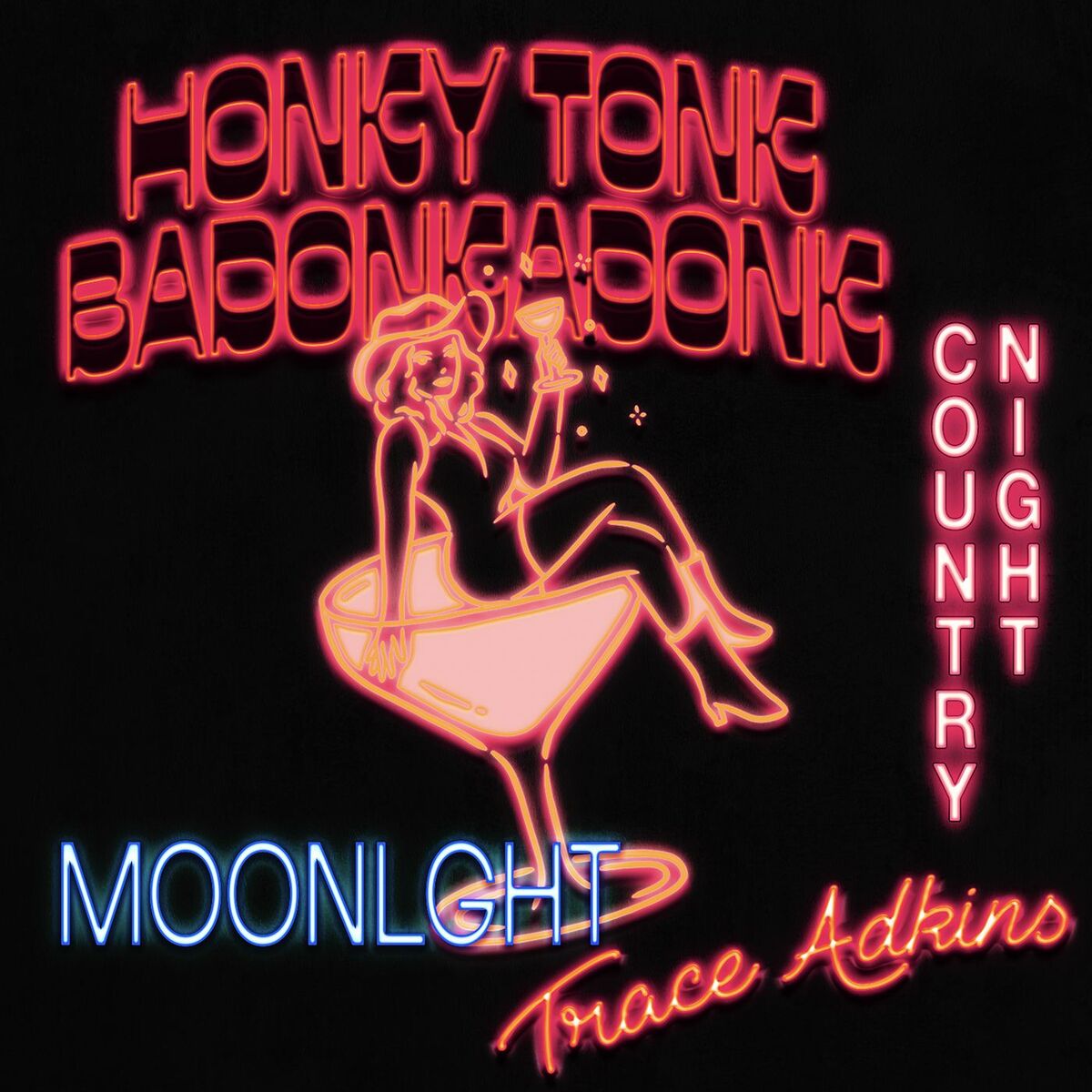 Album cover of HONKY TONK BADONKADONK