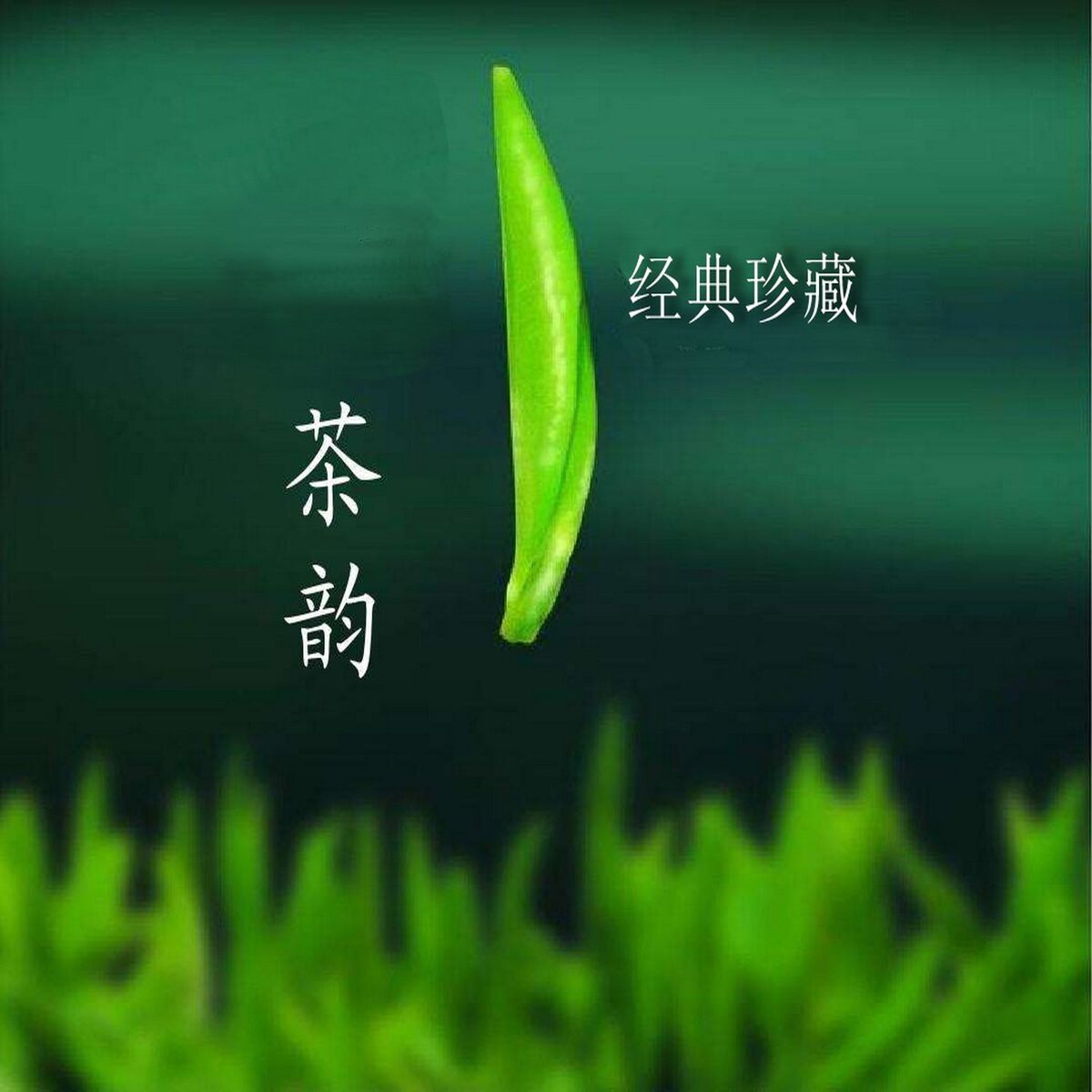 Album cover of 经典珍藏《茶韵》