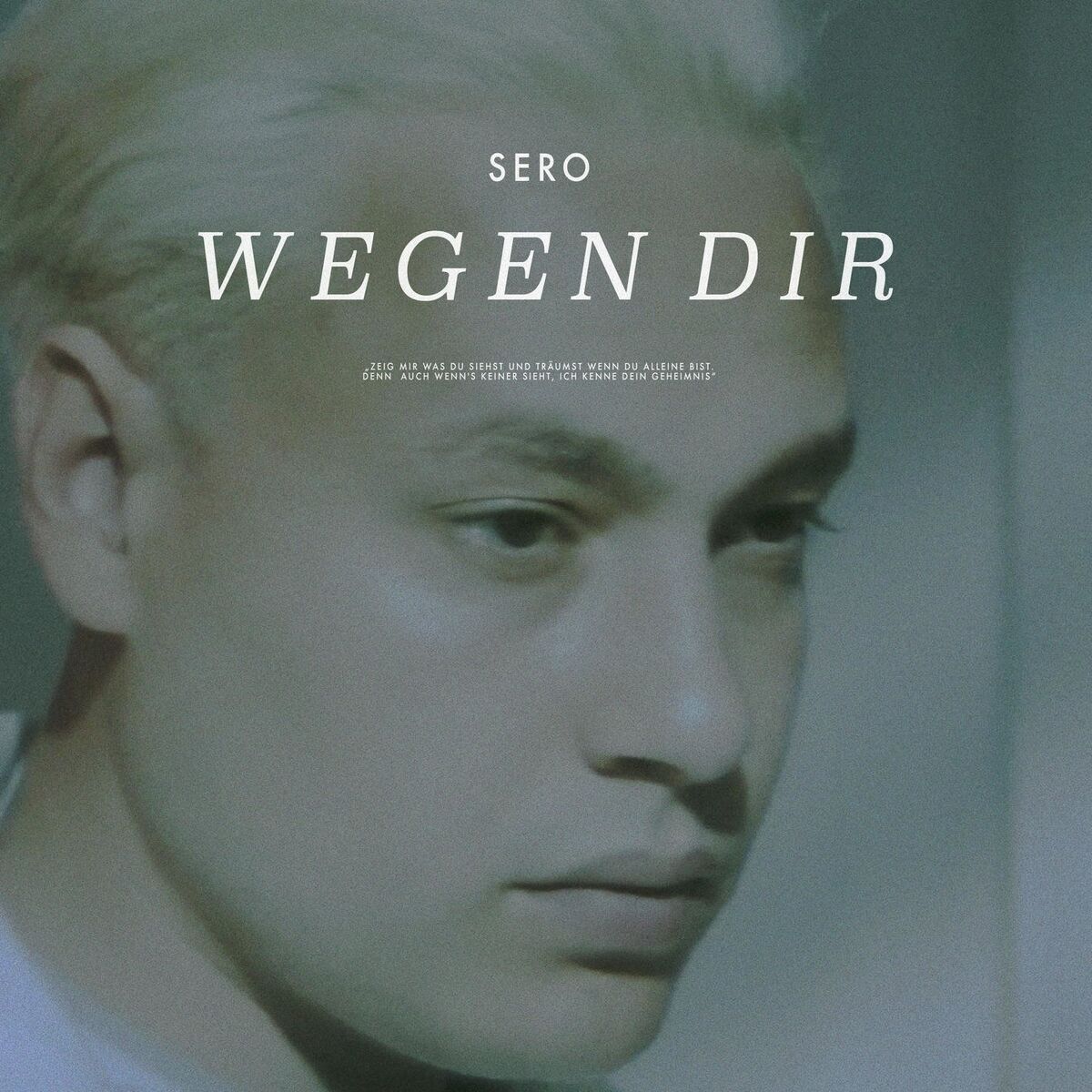 Album cover of Wegen Dir