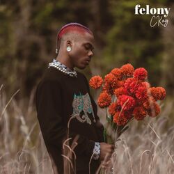 Cover of Felony