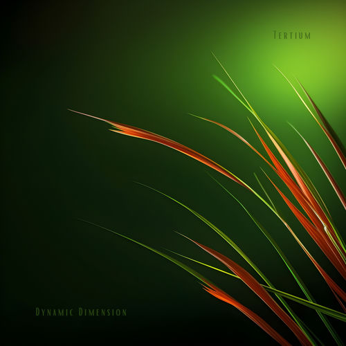 Tertium