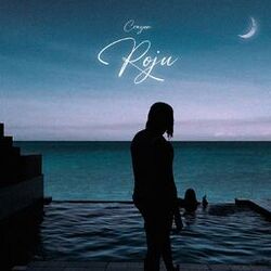 music cover