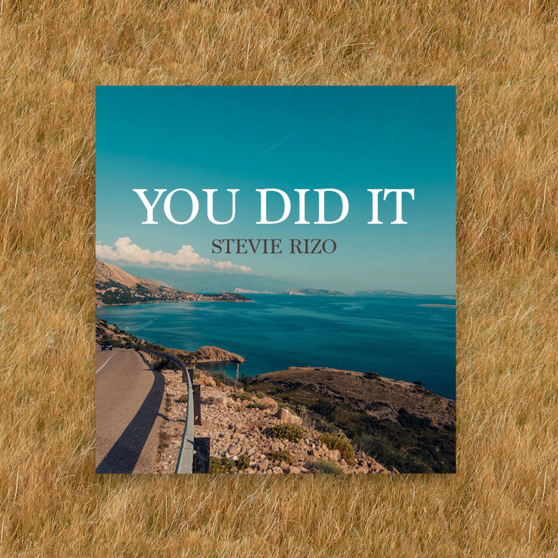 Album cover of You Did It