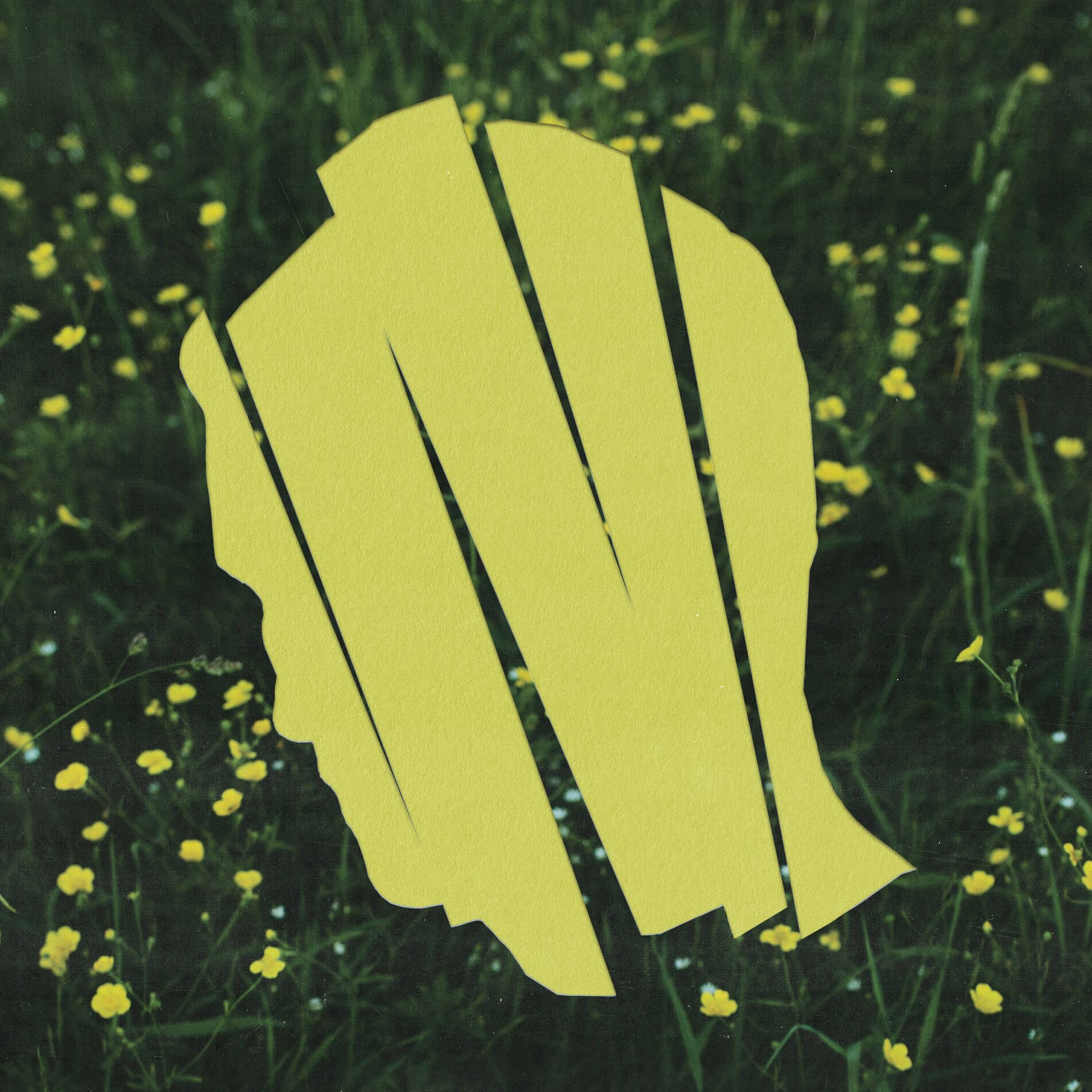 Album cover of Something to Say