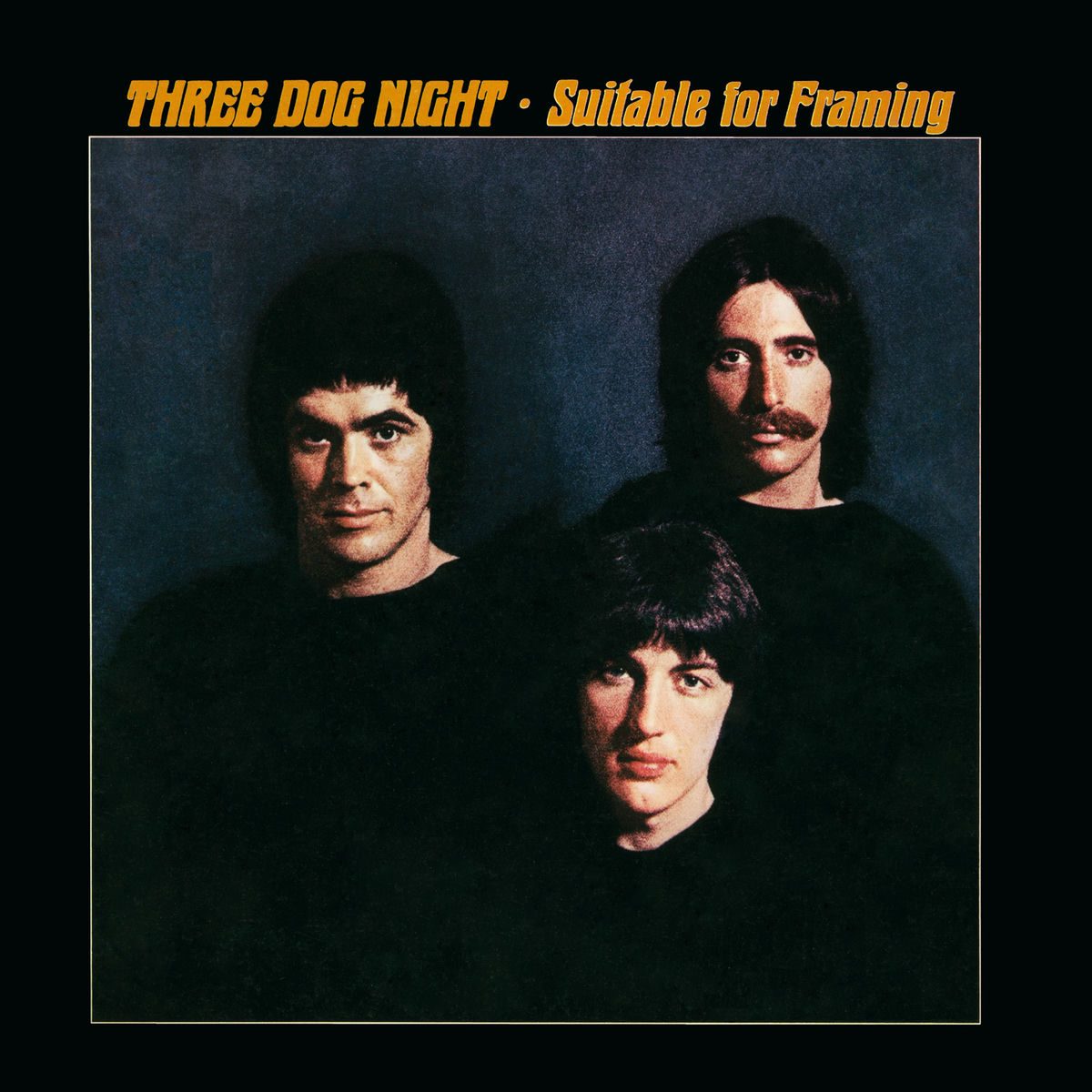 Album cover of Suitable For Framing