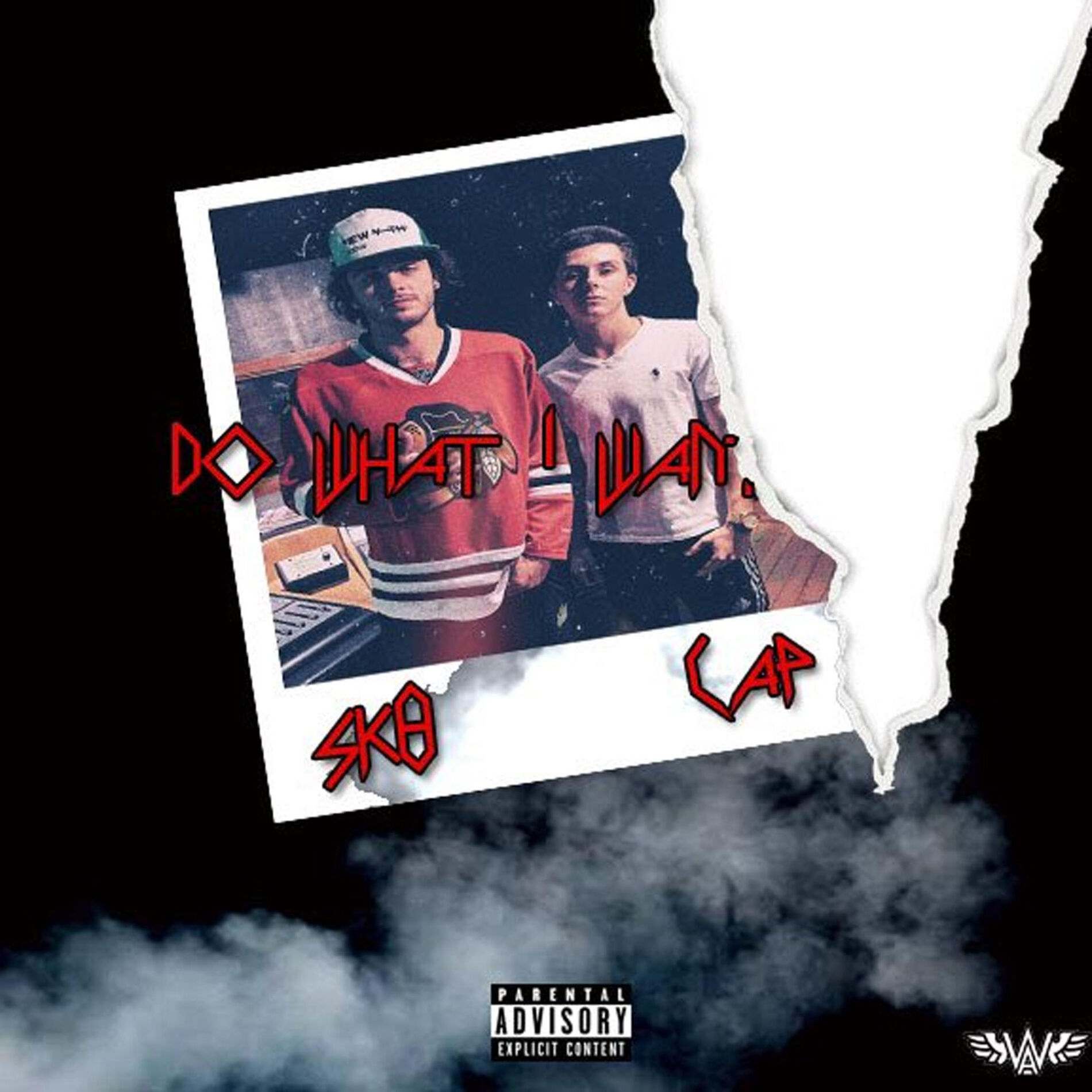 Album cover of Do What I Want (feat. Sk8)